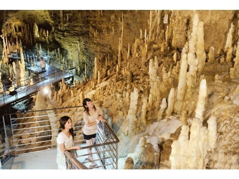 HIP-HOP BUS [Okinawa, Naha Departure] <Southern Okinawa> Okinawa World, Shuri Castle Park, Senaga Island Umikaji Terrace (Course D)の紹介画像