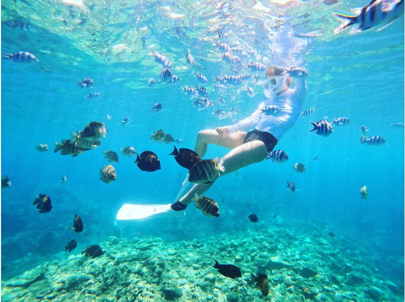 【沖縄本島・青の洞窟ボートシュノーケル】セール実施中★当日予約OK★プロカメラマンが撮影したデータ無料プレゼント★5ッ星ツアー！！の紹介画像
