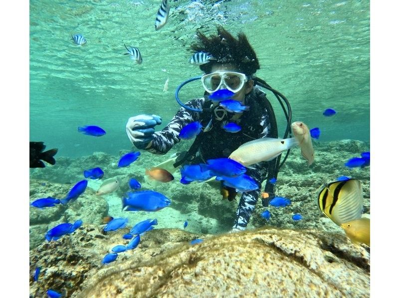 [沖縄藍洞憲章體驗深潛]滿意1★GoPro 8沖縄的首次介紹★壓倒性的高品質照片和視頻★の紹介画像