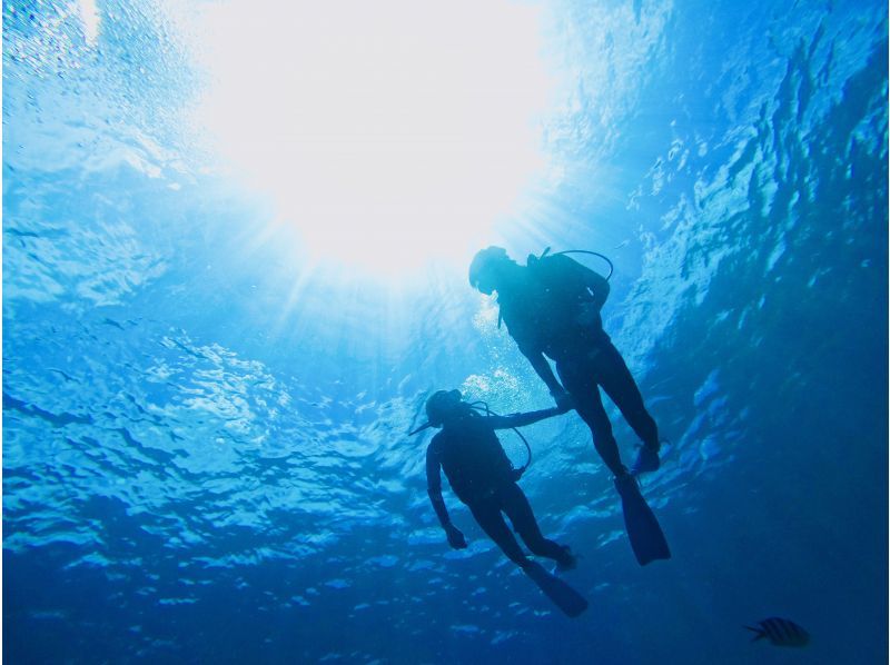 diving＆workshop　IHANASHIの青の洞窟ダイビングを楽しむ人々