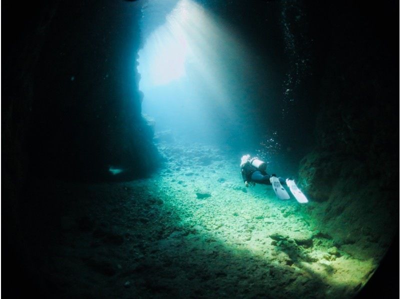 diving&workshop IHANASHIの割引プラン