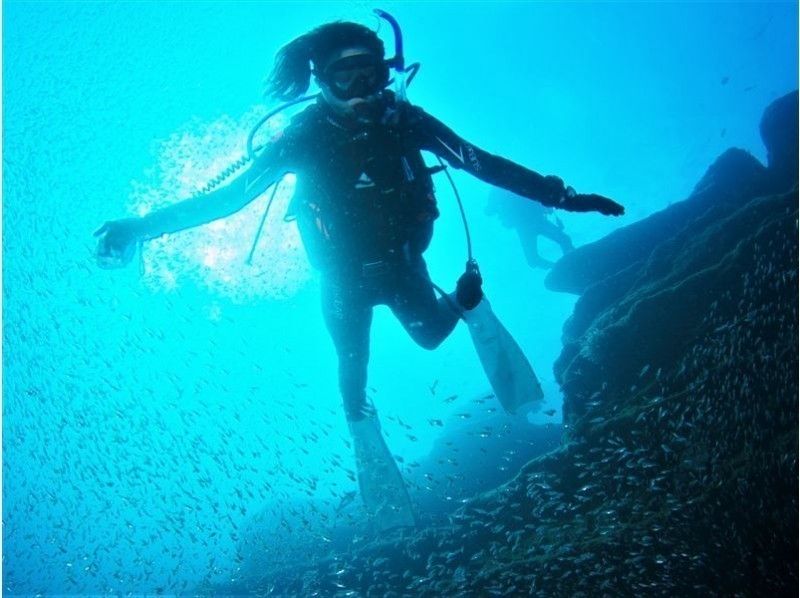 【和歌山・田辺】体験ダイビング～水中世界へようこそ～の紹介画像