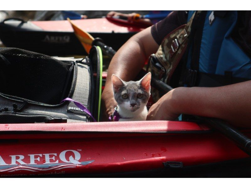 SALE! [Gunma, Minakami] A canoeing experience with a spectacular view in a hidden hot spring area * Going out with your dogの紹介画像