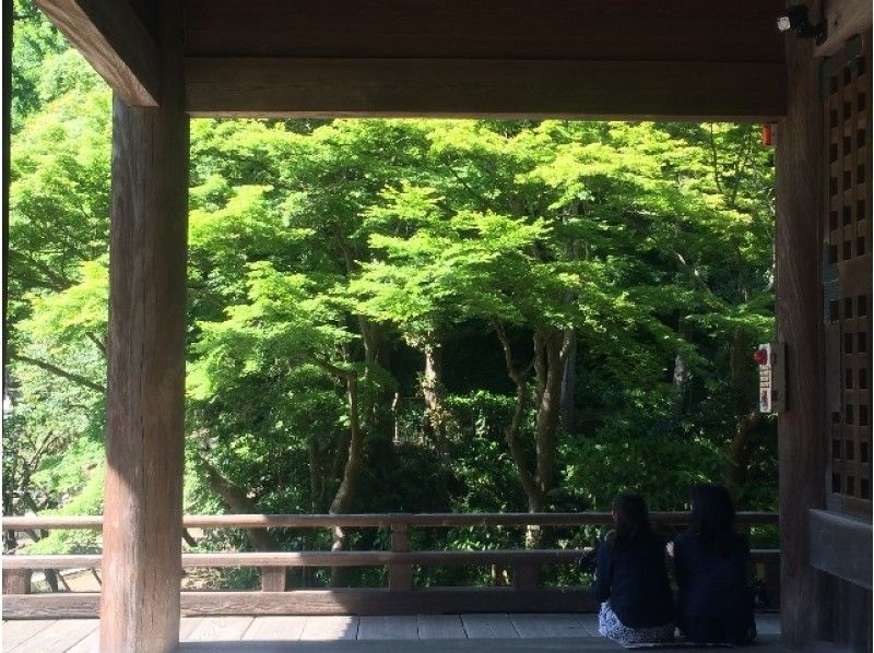 【WEB限定】「東勝寺跡」を目指して歩く!ガイドと歩く鎌倉・祇園山トレッキングツアー【10114】の紹介画像