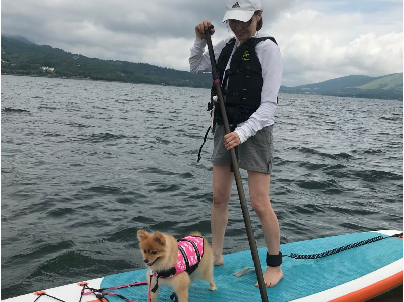 [Parents and children/pets welcome] Relaxed SUP experience on Mt. Fujiの紹介画像