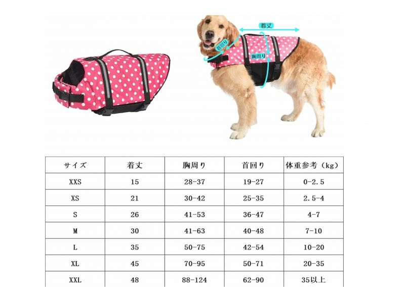 【親子・ペットOK】富士山のんびりSUP（サップ）体験の紹介画像