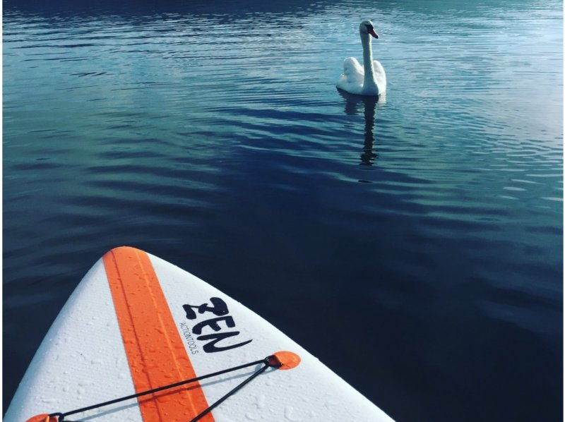 【宿泊者絶対おすすめ】日の出・サンライズSUP（サップ）体験♪♪の紹介画像