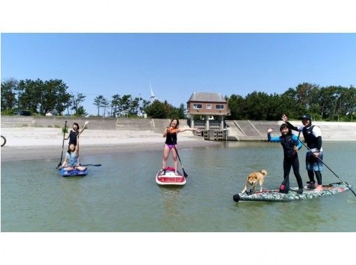 静岡 掛川 サーフィン体験スクール 温水プール 温泉 露天風呂 付き アクティビティジャパン 静岡 掛川 サーフィン体験スクール 温水プール 温泉 露天風呂 付き アクティビティジャパン