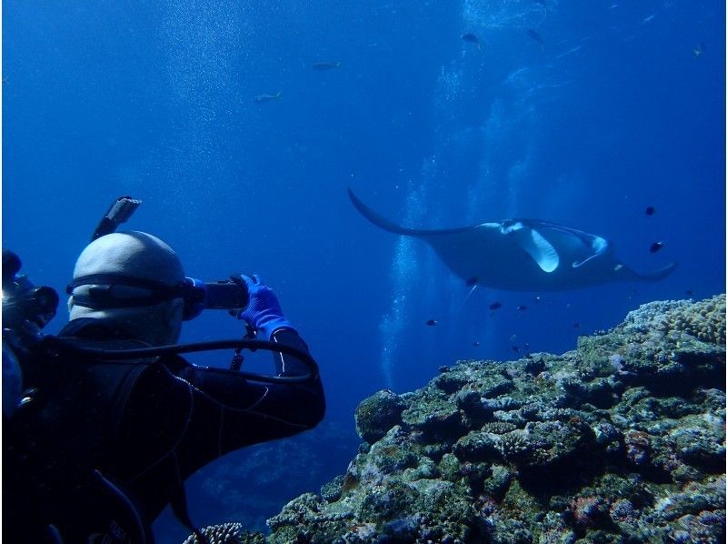 【Okinawa Ishigaki Island】Manta and Sea Turtle Experience diving from 10 years old (2 dive 3 hours)