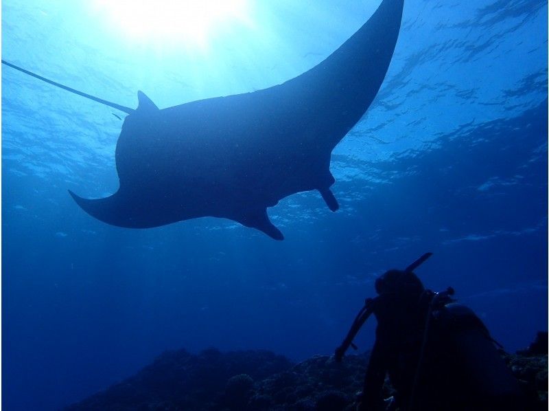 【 Okinawa · Ishigaki Island 】 Impressed 120%! ! Manta and Sea Turtle Experience diving ★ From 10 years old OK (2 dives · 3 hours)の紹介画像