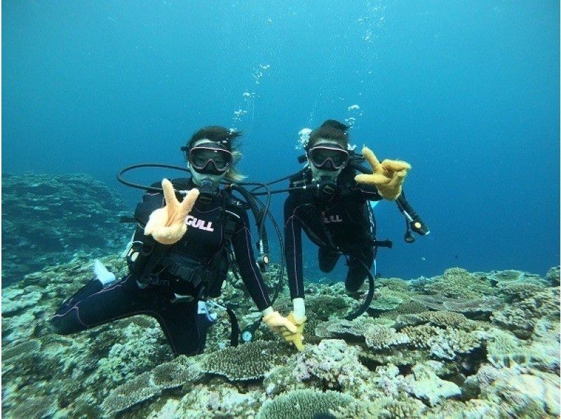 感動120％！マンタとウミガメ体験ダイビング！10才からOK（2ダイブ・約2〜3時間）★☆予約特典プレゼント付き！★☆の紹介画像