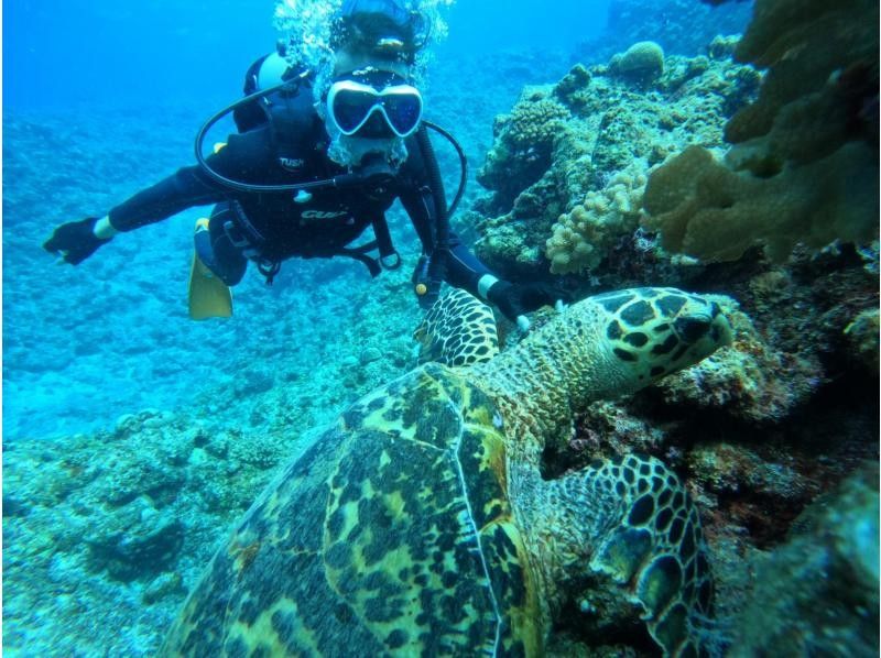 感動120％！マンタとウミガメ体験ダイビング！10才からOK（2ダイブ・約2〜3時間）★☆予約特典プレゼント付き！★☆の紹介画像