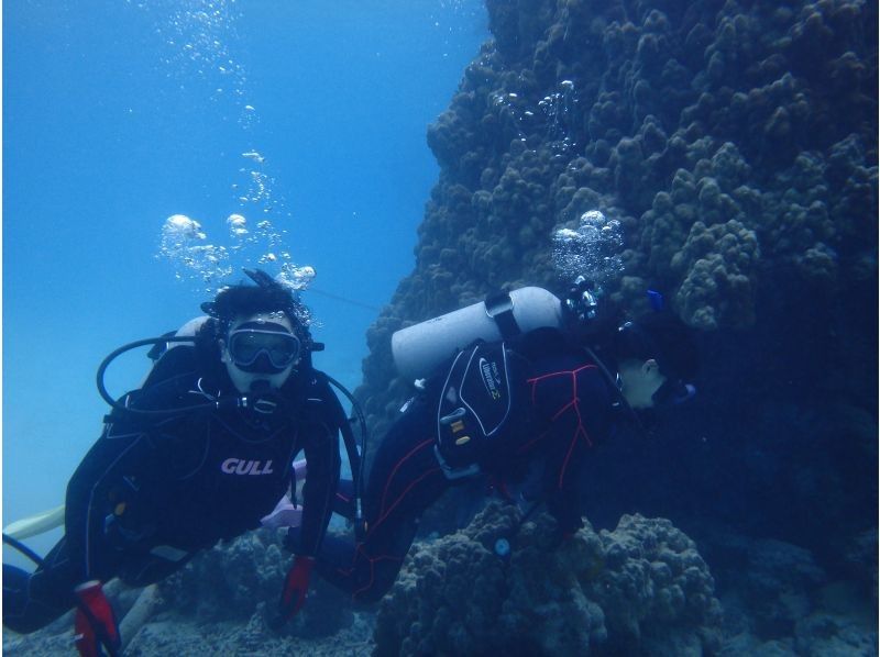 感動120％！マンタとウミガメ体験ダイビング！10才からOK（2ダイブ・約2〜3時間）★☆予約特典プレゼント付き！★☆の紹介画像