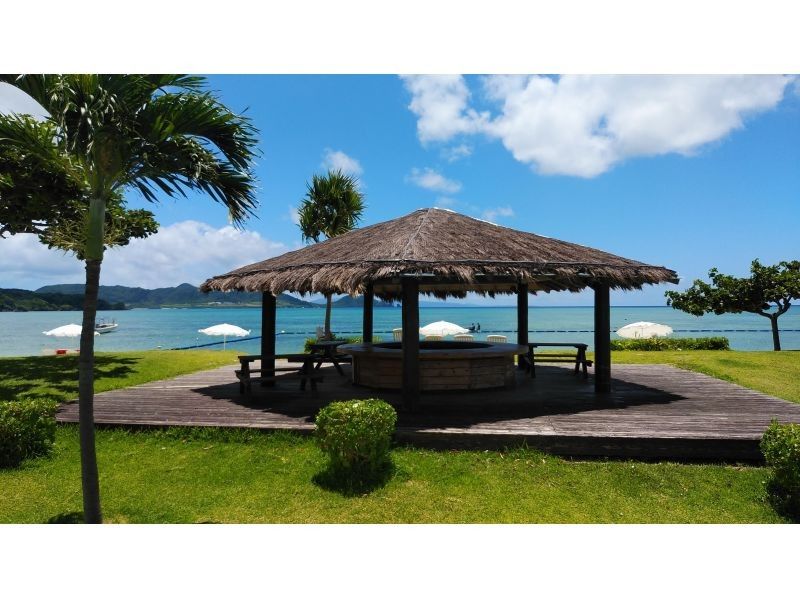 感動120％！マンタとウミガメ体験ダイビング！10才からOK（2ダイブ・約2〜3時間）★☆予約特典プレゼント付き！★☆の紹介画像