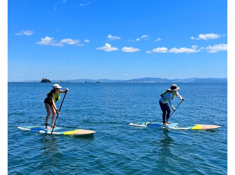 【松島/半日】日本三景＆世界で最も美しい湾クラブ加盟！人気No.1松島湾SUP体験【写真データ/備品レンタル無料】の紹介画像