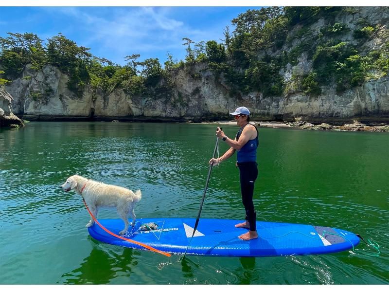 [มิยางิ / มัตสึชิมะ] ประสบการณ์ SUP หลักสูตรครึ่งวันที่คุณสามารถเพลิดเพลินกับทัศนียภาพอันงดงามของสามมุมมองของญี่ปุ่น (ด้วย GoPro, SLR, การถ่ายภาพด้วยโดรน)の紹介画像