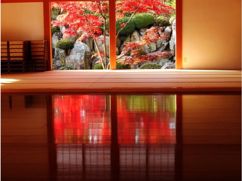 【栃木・群馬】「床もみじ」は必見!宝徳寺と国宝「鑁阿寺」2大紅葉観賞バスツアー【12916】の紹介画像