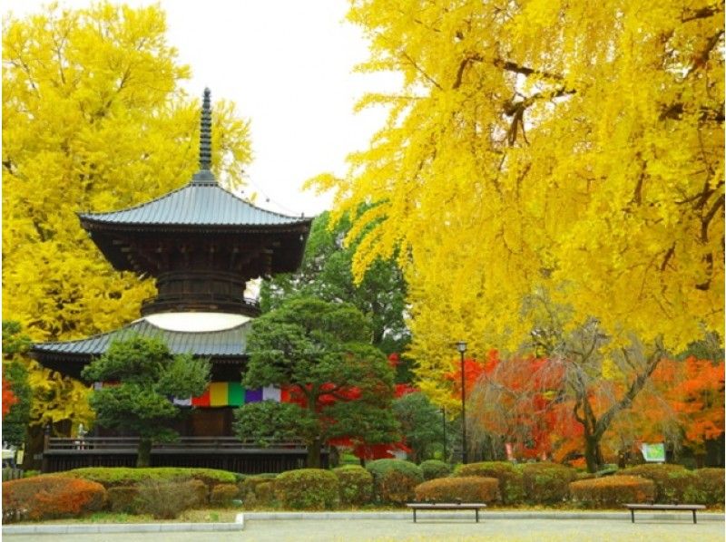 【栃木・群馬】「床もみじ」は必見!宝徳寺と国宝「鑁阿寺」2大紅葉観賞バスツアー【12916】の紹介画像