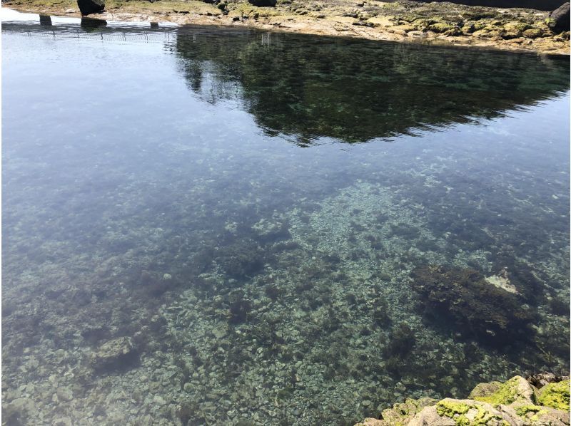 【伊豆・下田】恵比須島・シュノーケリングツアーの紹介画像