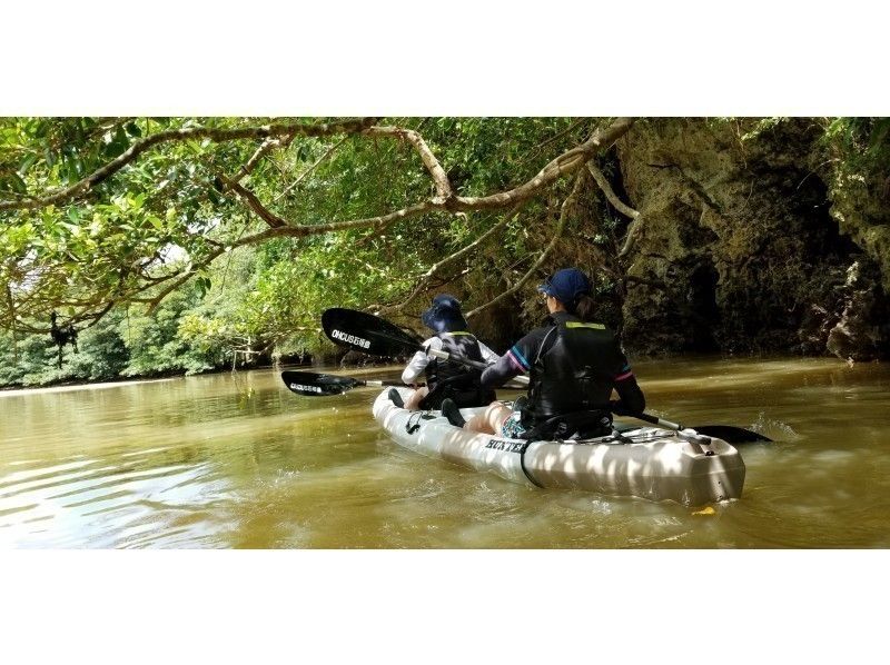 [Okinawa ・ Ishigaki island] Relax with nature! Miyara River Mangrove Canoe Tour 3 hours! With subtropical forest trekkingの紹介画像