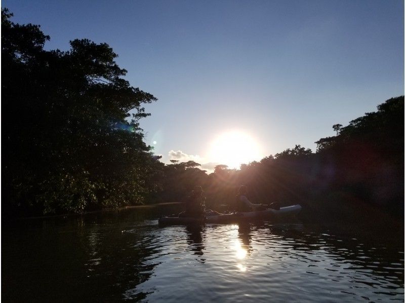 [冲绳-石垣岛]与大自然一起放松！ Miyara River Mangrove独木舟之旅3小时！随着亚热带森林徒步旅行の紹介画像