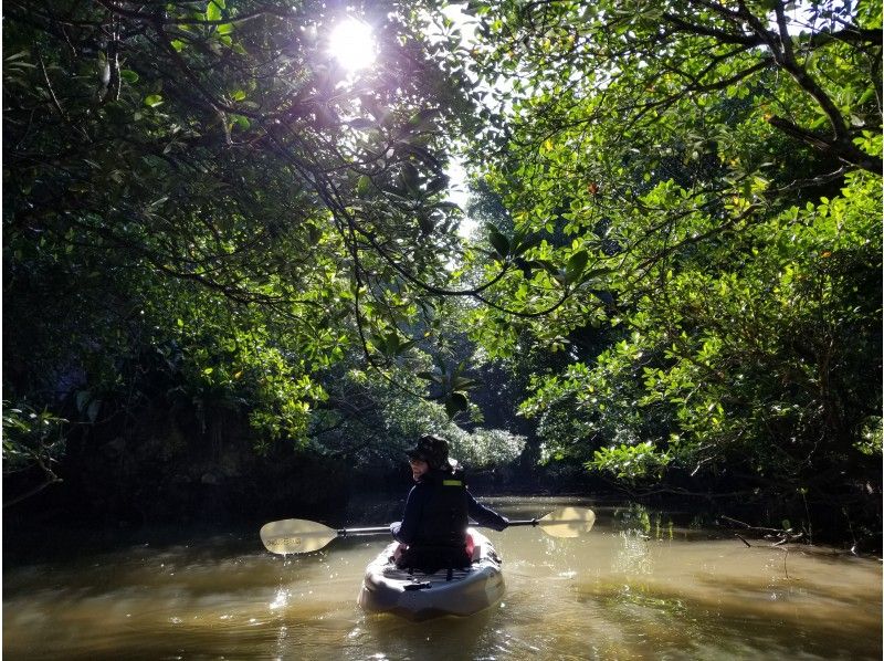 [Okinawa/Ishigaki island] Relax with nature! Miyara River Mangrove Canoe Tour 3 hours! 