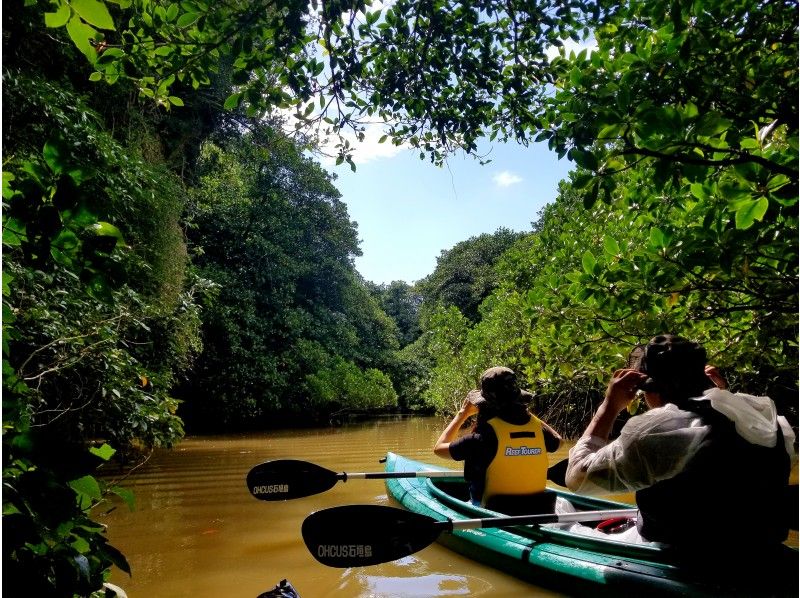 [冲绳-石垣岛]与大自然一起放松！ Miyara River Mangrove独木舟之旅3小时！随着亚热带森林徒步旅行の紹介画像