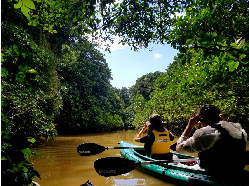 [Okinawa Ishigaki island] Miyara River Mangrove Trial Canoe Tour 1.5 Hours Short Plan!