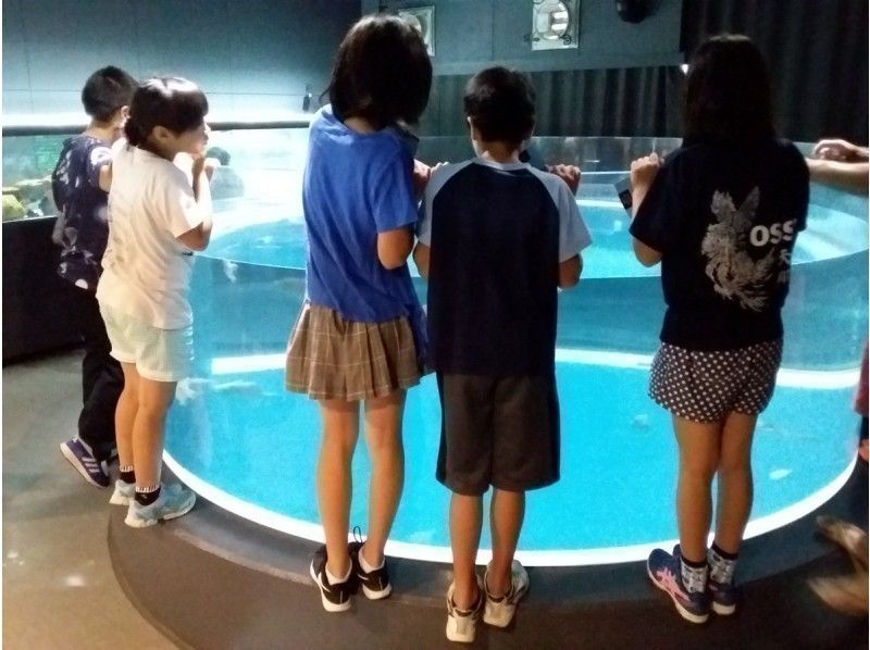 【高知・室戸岬】室戸ドルフィンセンター＆むろと廃校水族館★割引き★ドッキング入場チケットの紹介画像