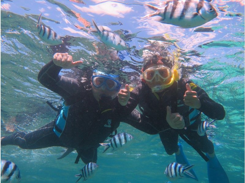 [Okinawa Northern] Complete Number of participants Control! Safe with children Snorkeling Experience