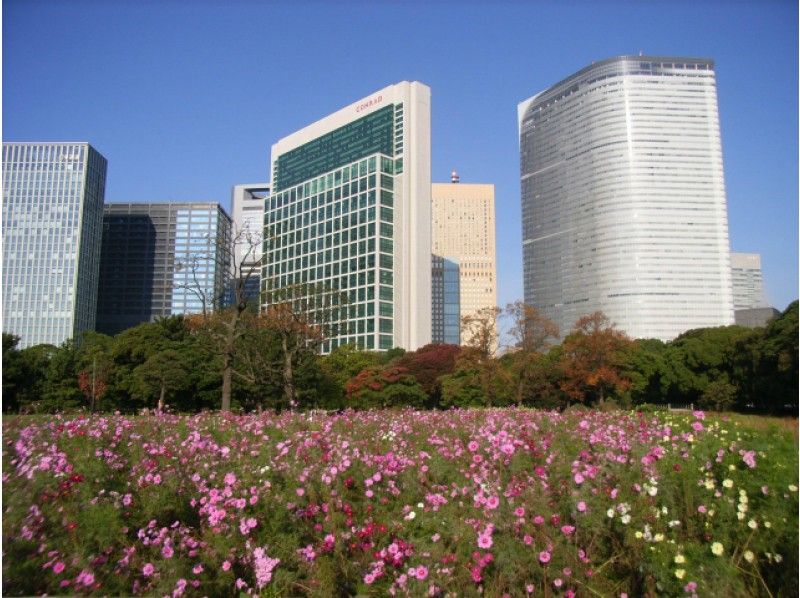 ≪5,000円バスツアー≫旧古河庭園「秋のバラフェスティバル」音楽会&散策バスツアー【13105】の紹介画像