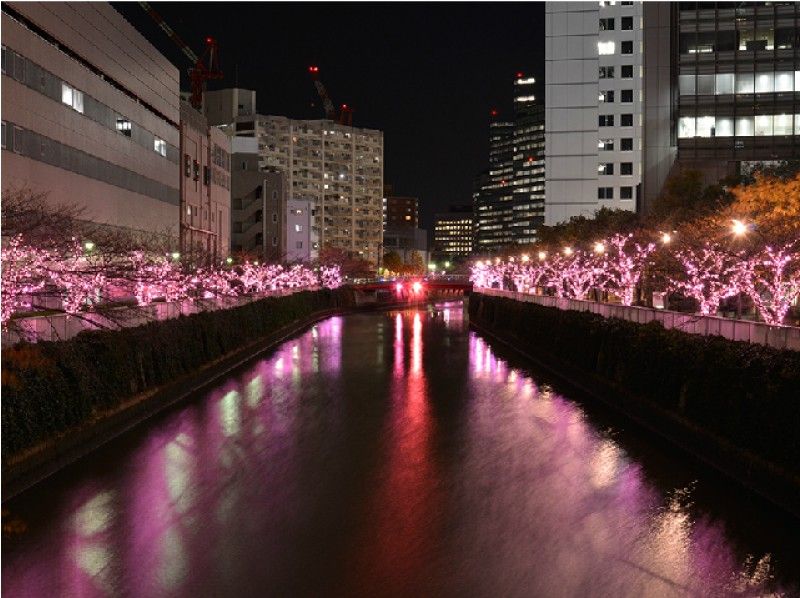 【天王洲乗船】目黒川“冬の桜回廊”イルミネーション&お台場レインボー花火観覧クルーズ【13005】の紹介画像