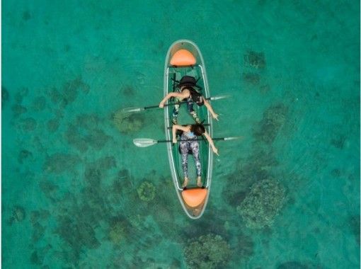 屋久島 種子島 奄美大島 与論島のシーカヤック カヌーの予約 日本旅行 オプショナルツアー アクティビティ 遊びの体験予約 屋久島 種子島 奄美大島 与論島のシーカヤック カヌーの予約 日本旅行 オプショナルツアー アクティビティ 遊びの体験予約