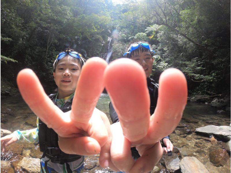 [Okinawa ・ Nago City] 1 group rental! Explore the jungle with your whole family!