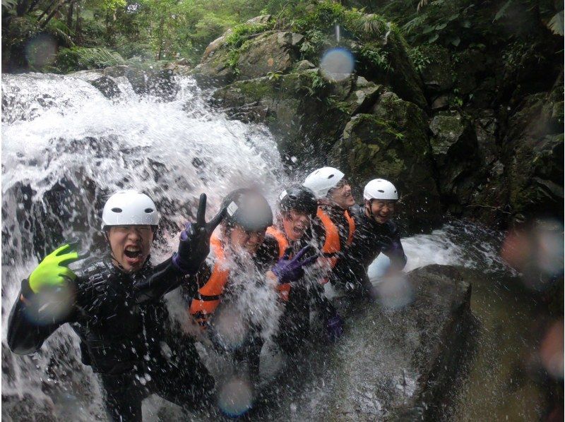 [Okinawa ・ Nago City] Soaking wet Required! Full-fledged jungle adventure courseの紹介画像