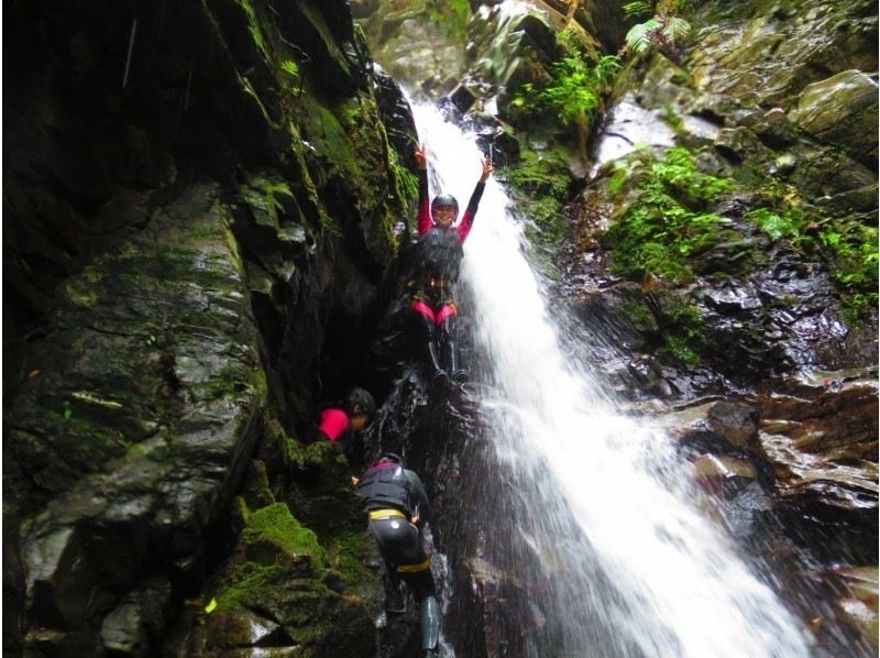 [Okinawa ・ Nago City] Soaking wet Required! Full-fledged jungle adventure courseの紹介画像