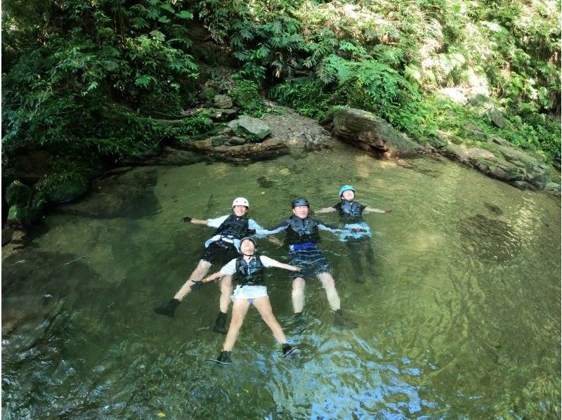 [Okinawa ・ Nago City] Soaking wet Required! Full-fledged jungle adventure courseの紹介画像