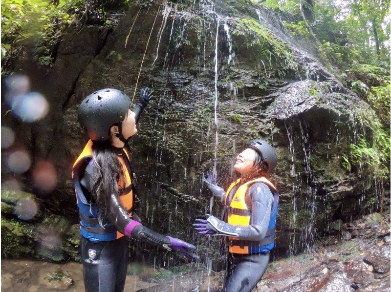 [Okinawa ・ Nago City] Soaking wet Required! Full-fledged jungle adventure courseの紹介画像