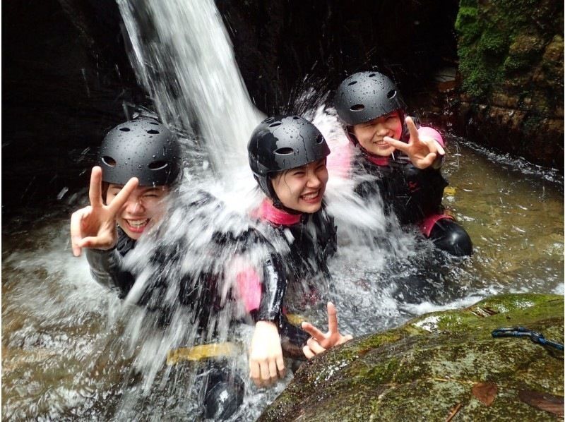 [Okinawa ・ Nago City] Soaking wet Required! Full-fledged jungle adventure courseの紹介画像