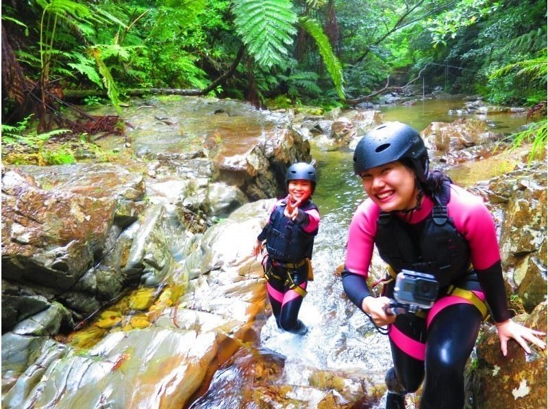 [Okinawa ・ Nago City] Soaking wet Required! Full-fledged jungle adventure courseの紹介画像