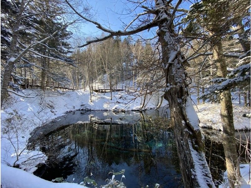  WS【北海道・知床】知床清里町・冬の神の子池スノーシューイングツアー【無料送迎付】の紹介画像