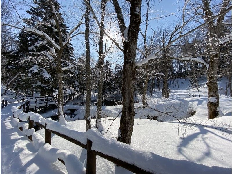  WS【北海道・知床】知床清里町・冬の神の子池スノーシューイングツアー【無料送迎付】の紹介画像