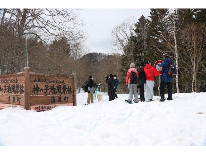  WS【北海道・知床】知床清里町・冬の神の子池スノーシューイングツアー【無料送迎付】の紹介画像