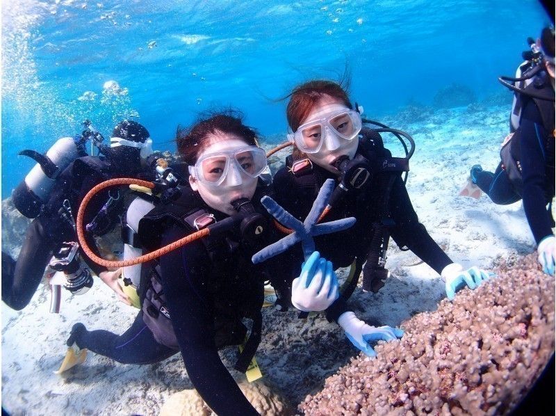 【Okinawa · Onna village · Trial Diving】 Anemone Fish Trial Diving! Instant Delivery Of High-quality Photos &Videos To Your Smartphone★の紹介画像