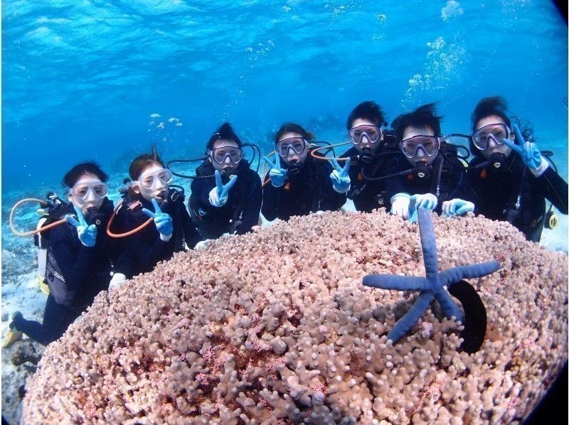 【Okinawa · Onna village · Trial Diving】 Anemone Fish Trial Diving! Instant Delivery Of High-quality Photos &Videos To Your Smartphone★の紹介画像