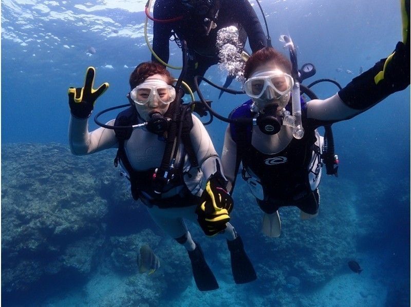 [Okinawa / Kerama] Hotel airport free pick-up and drop-off Complete staff 1 group reserved! Free underwater photography for experience diving in the direction of Keramaの紹介画像