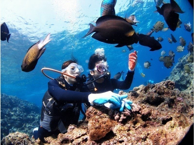 【沖繩·恩納村】★8歲·9歲OK★Chibiko魚體驗潛水！與孩子和家人一起挑戰潛水！の紹介画像