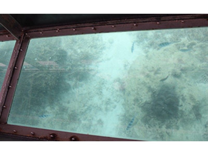  [ โอกินาว่า・ เมืองอุรุมะ] โดยถนนใต้ทะเล พ. ในระหว่างการสังเกต♪ ล่องเรือกระจกใสชมสัตว์ทะเลล่องเรือの紹介画像