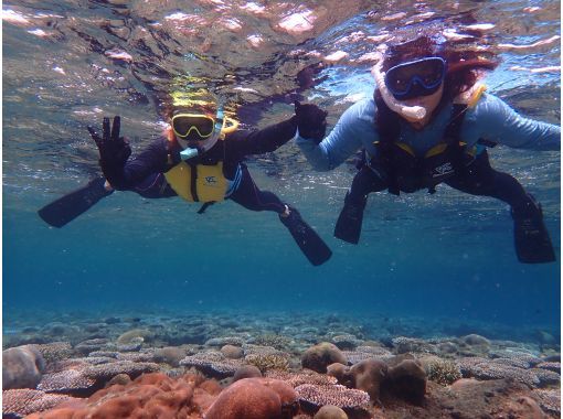 石垣島 米原ビーチエントリーで海カメに会える遭遇率90 シュノーケリングツアー ８歳 Ok 少人数制で大人気 温水シャワー 更衣室あり アクティビティジャパン