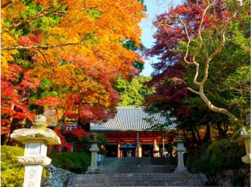 絶景紅葉スポット!「観心寺」「延命寺」&地元ガイドがご案内!高野街道散策バスツアー【P013143】の紹介画像